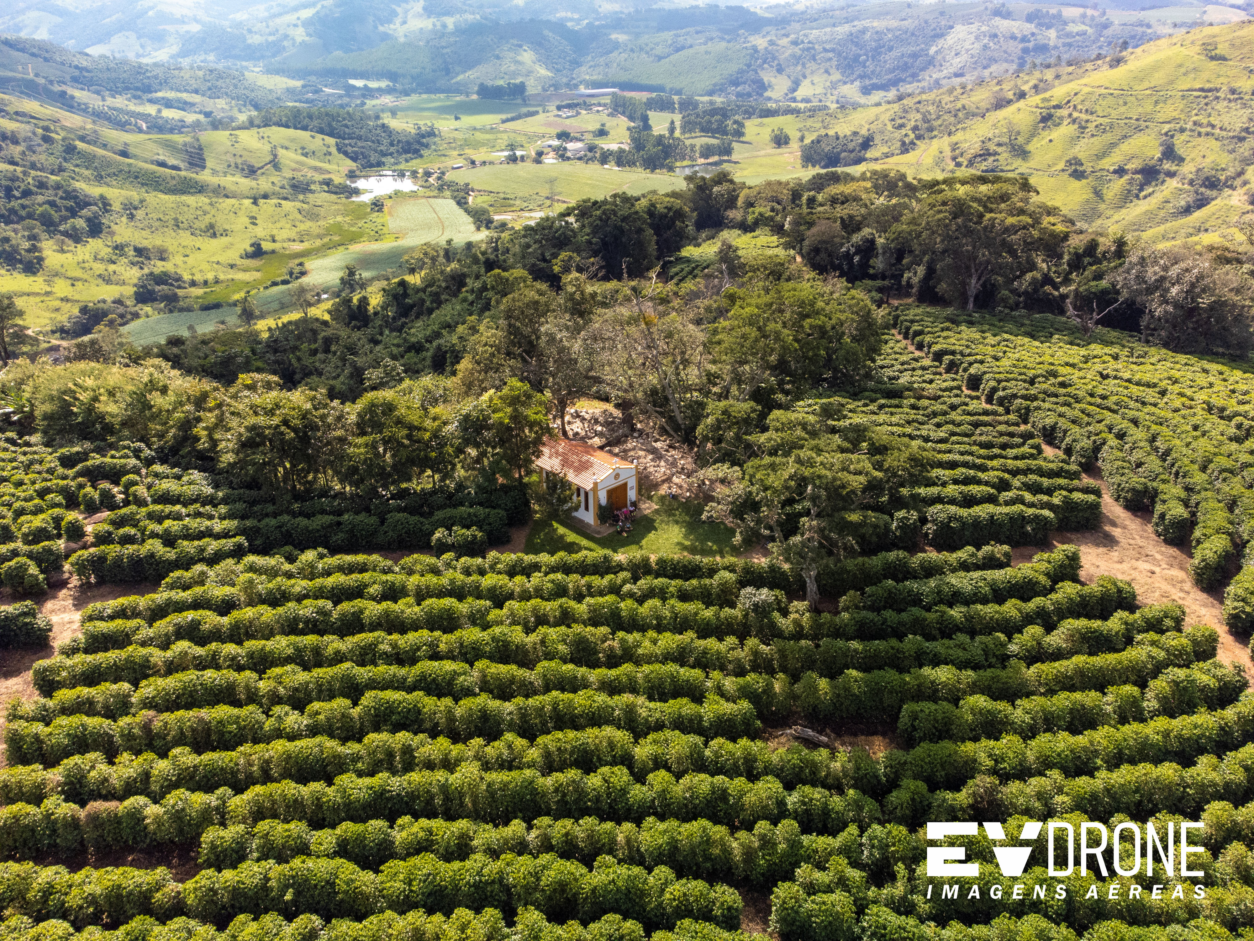 Drone no Agronegócio